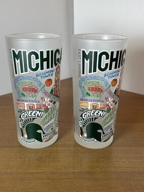 CatStudio Tumbler Michigan State MSU Sparty 15 Oz Frosted Glass 2021 New Set 2